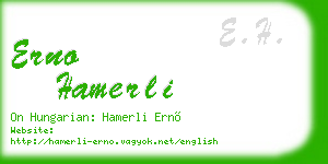 erno hamerli business card